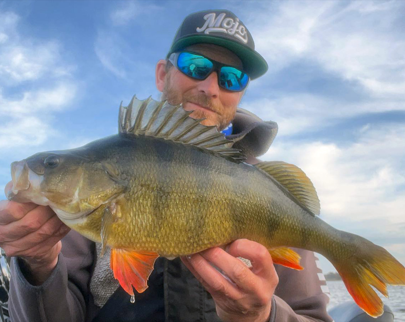 RenzStein Beastly Minnow